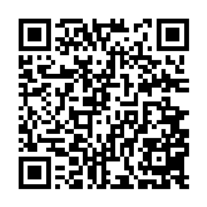 嘉靖帝用脚将揉成一团的八百里加急踢向严嵩等人二维码生成