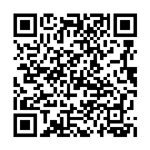 嘴角也渐渐勾起了既文质彬彬又冷酷无情的笑意二维码生成