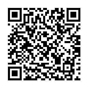 嘴角微微露出的那一抹笑意让人瞧得渗着慌小说章节二维码生成