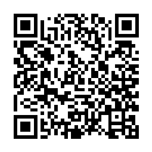 嘴角笑吟吟的望着被卢院长那仿佛看宝贝一样的眼神二维码生成