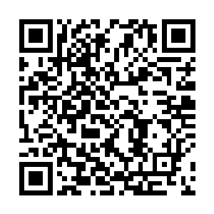 嘴里含着糖还把那糖纸不停在鼻子边嗅来嗅去的幸福劲二维码生成