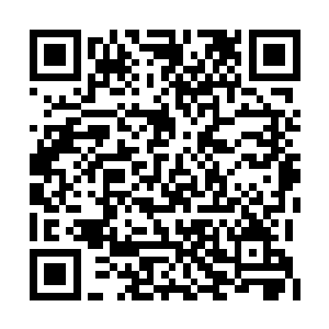 嘶…好恐怖的实力…果然不愧是仙尊后期的高手二维码生成