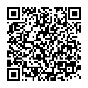 嘿嘿嘿……毫无逻辑的高风险和高收益……才是赌博的魅力所在啊二维码生成