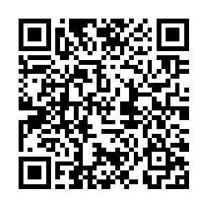 噗哈哈哈哈哈――原来那件外袍是南宫少爷扔掉的啊二维码生成