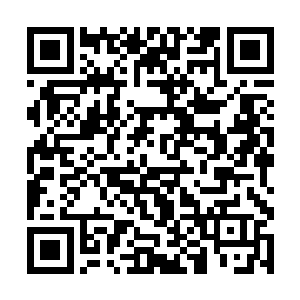 噬血妖藤和黑鳖精体内大量的污浊杂质被排出了体外二维码生成