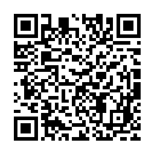 嚣张不可一世的血怪此刻被那无数枚金色的铜钱勒成了一个粽子二维码生成