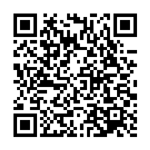四……四十万……四十五万……五十万……五十八万……二维码生成