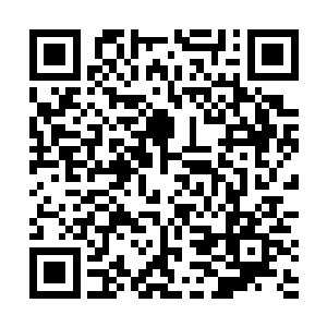 四个盘膝坐在蒲团上的人影均是被一层朦胧金光包裹住二维码生成