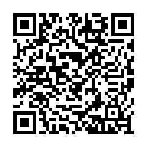 四人也有目的的只专朝着那些幼蜂所在方向前行二维码生成