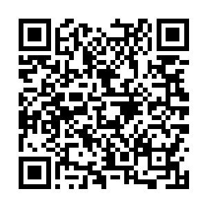 四周围的温度绝对不是现在的自己可以承受的了的二维码生成