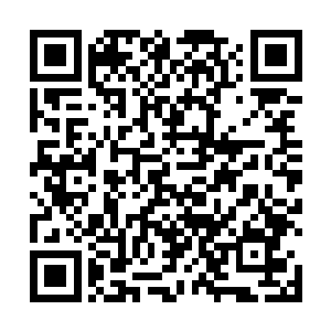 四周愈来愈清晰的吼叫声还有杂乱的沉重脚步轰轰作响二维码生成