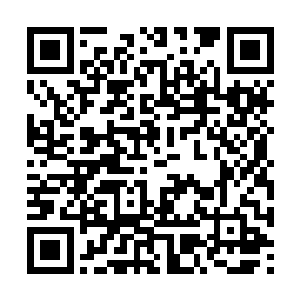 四堂堂主和九大族长也都将自己的速度展开到极限二维码生成