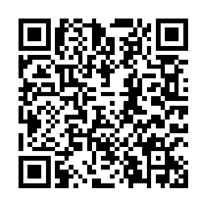 四大家族家主又个个都是气海第七重兵甲境巅峰的人物二维码生成