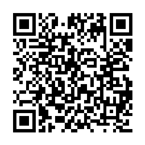 四大家族的太上长老可绝对不敢和史严寒对着干二维码生成