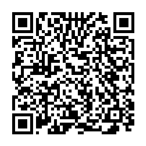 四大家族的皇牌舰队也未必会怕这几支皇牌舰队都是四大家族压箱底的本钱二维码生成