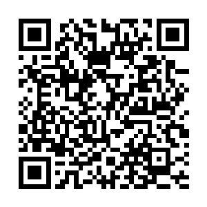 四大猎海神舟都接到了猎海联盟发过来的十万里信符传讯二维码生成