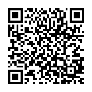 四季花园的几位考核官大人将会在今天下午来这里组织一场测试二维码生成