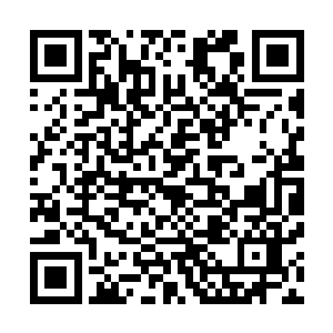 四方天地里面有几个不知道这一挂人战力堪比三四十个仙啊二维码生成