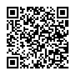 四殿大学士学士仿佛一夜间全变成了进士出身的文臣二维码生成