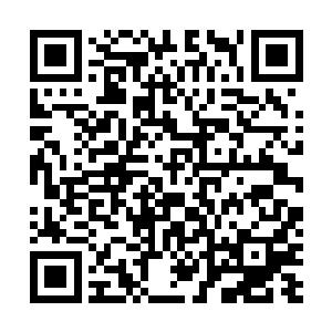 四海宫少宫主敖刃见夏云杰在自己吞海金碗的全力压迫下二维码生成