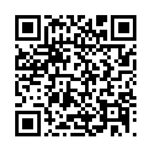 四皇子身边……竟也是两大金牌护卫二维码生成