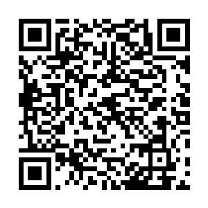四道紫色剑虹风驰电掣般的从四只红头雕身体中洞穿而过二维码生成