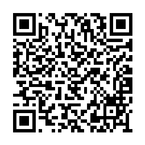 回不去了啊…………只有这么硬着头皮走下去了二维码生成