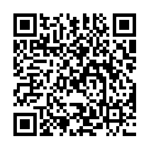 回到了洛杉矶的雨果就已经被蜂拥而来的媒体彻底包围二维码生成