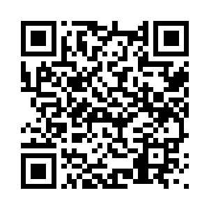 回到了那所有混乱开始之前的日子二维码生成