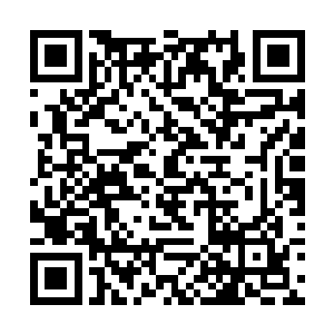 回到家之后荣光将明天放假一天的消息告诉了黛玻菈二维码生成