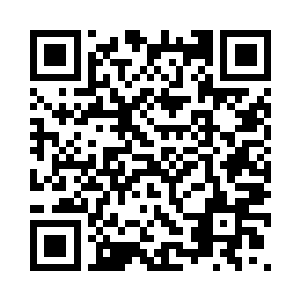 回到房间之后他掀开了自己的袖子二维码生成