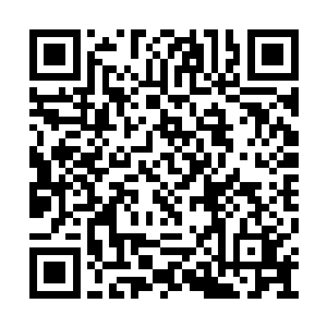 回去之后你们立刻把我们所有的人全都组织起来二维码生成