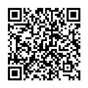 回去之后殷家家主方才得知谢家下任家住驾临府邸一事二维码生成