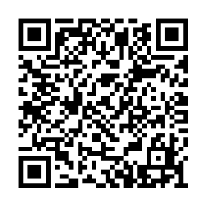 回去后我会种在南面剩下的那二十多亩下等地中二维码生成