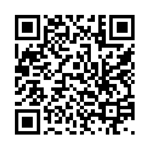 回去给你妈说你是来动物园看熊猫的二维码生成