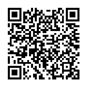 回味着那种双手运转如风甚至化作一团灰雾的滋味二维码生成