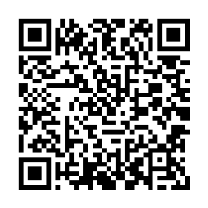 回头就看见王安石一脸陶醉的举着一挂咸鱼在闻二维码生成