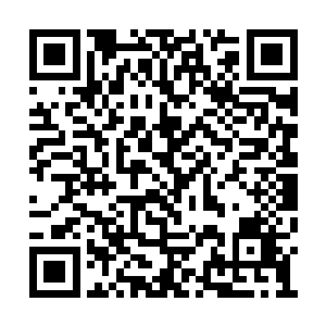 回头看了眼脸色狰狞正如野兽般朝她看来的王苏二维码生成