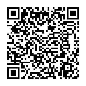 回头看看天庭设下的陷阱一网打尽的人当中有没有六道的人就一目了然二维码生成