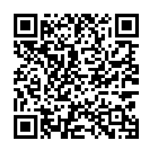 回头见到蛋圆圆坐在地上玩泥巴顿时一副餐遭雷劈的表情二维码生成