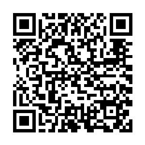回想司马十七郎不听自己的劝阻冒着生命危险去平叛二维码生成