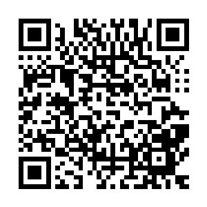 回想着长毛那家伙在华夏的时候拿着钢管冲着自己叫嚣的场境二维码生成