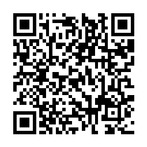 回想起光昭帝在位时自己与他一起商讨国事的情景二维码生成