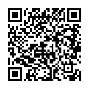 回想起苏凡刚刚的那一拳诸葛正明此刻也是有些小意外二维码生成
