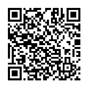 回来之后的下场应该也是和这个神风山创始人差不多了二维码生成