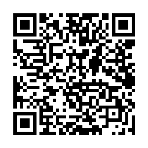 回答完许紫烟问题的梁之洞望着陷入沉思中的许紫烟二维码生成
