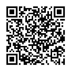 因为一般的情况下自己是不会动用本源大量消耗气血二维码生成