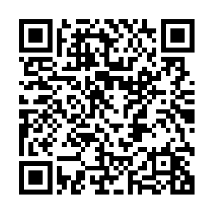 因为七阶魔兽都能感应到天翼神虎体内那源于神兽的血脉威压二维码生成