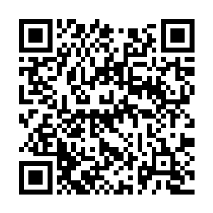 因为上一次在英雄食府庆祝林烽考上大学的宴会上二维码生成