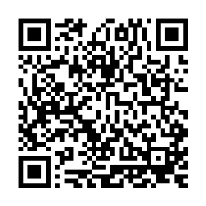 因为下午当地人就懒散的组织起了一滁像是扮家家的游行活动二维码生成
